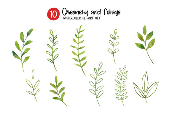Download Greenery and Foliage Watercolor Set. - Greenery Collection