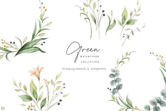 Download Watercolor Greenery Collection - Premium Resources